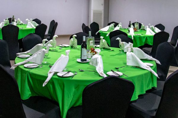 bird-of-paradise-conferenes-4 bird-of-paradise-conferenes-4